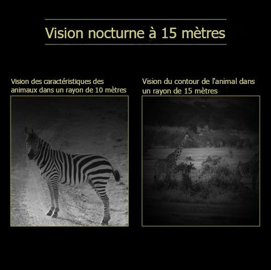 copy of Caméra de surveillance Solaire WiFi HD camouflage avec vision nocturne
