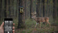 Caméra de chasse infrarouge ISCPR903W WiFi Version 8K HD avec vision nocturne,