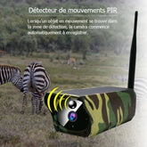 copy of Caméra de surveillance Solaire WiFi HD camouflage avec vision nocturne
