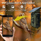 Caméra de chasse infrarouge ISCPR903W WiFi Version 8K HD avec vision nocturne,