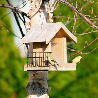 Une caméra de surveillance solaire, idéal pour les passionnés d'ornithologie